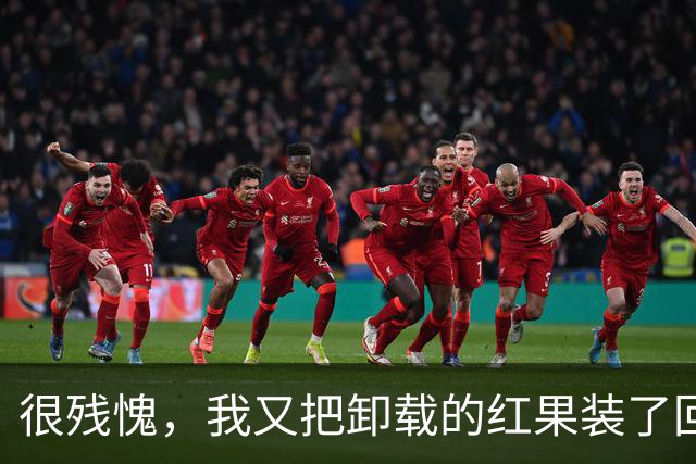 很残愧，我又把卸载的红果装了回来