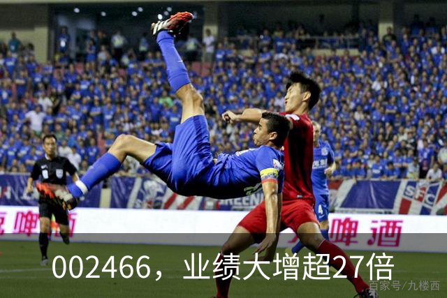 002466，业绩大增超27倍